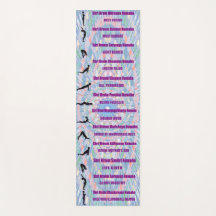 サンサルテーション