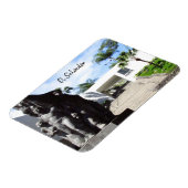 サンサルバドール博物館 マグネット (左側)