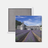サンサンク修道院, ゴルド, ヴォクリューズ, プロヴァンス マグネット (正面/裏面)