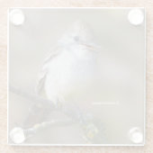 サンザシの枝に微笑む灰喉の付いたフライキャッチャー ガラスコースター (裏面)