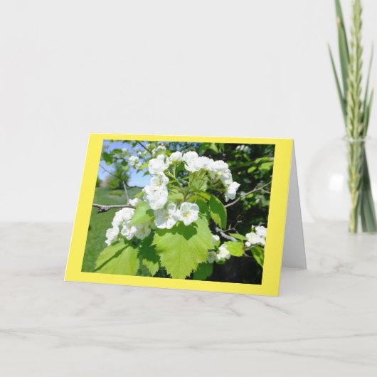 サンザシの花空白のノートカード カード (正面)