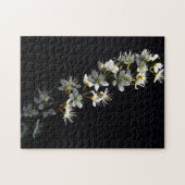 サンザシの花11x14 252pc jpcnm ジグソーパズル (横)