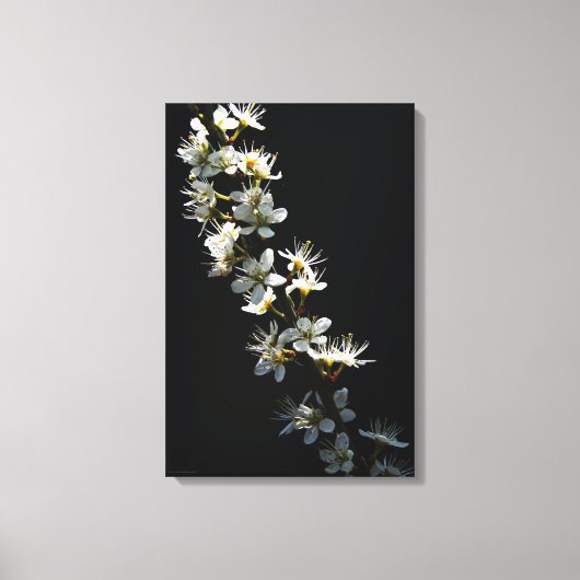サンザシの花16x24 (40x60cm)ワッカ キャンバスプリント (正面)