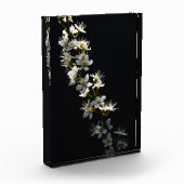 サンザシの花 フォトブロック (左)