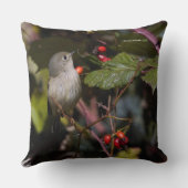 サンザシの茂みの上にルビーの冠を付けたキングレット松の鳥 クッション (裏面)