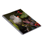 サンザシの茂みの上にルビーの冠を付けたキングレット松の鳥 ノートブック (右側)