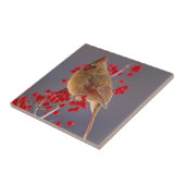 サンザシの雌の北(鳥)ショウジョウコウカンチョウ タイル (側面)