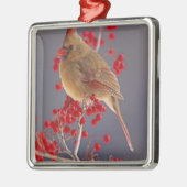 サンザシの雌の北（鳥）ショウジョウコウカンチョウ メタルオーナメント (左)