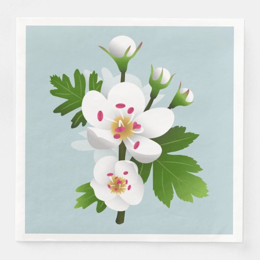 サンザシ花 (正面)