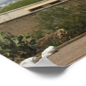 サンザビエル作戦 ポスター (角)