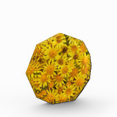 サンシャインがやってくる フォトブロック (左)