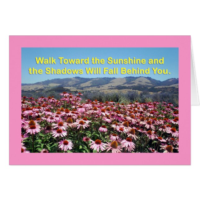 サンシャインとシャドウカード (正面横)