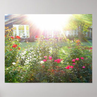 サンシャインとバラポスター ポスター