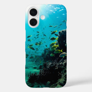 サンシャインと熱帯魚 iPhone 16ケース