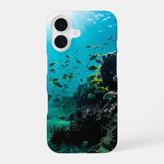 サンシャインと熱帯魚 iPhone 16ケース (裏面)
