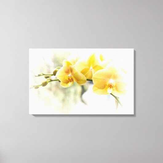 サンシャインのイエローモスオーキッド キャンバスプリント (正面)