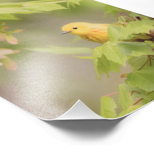 サンシャインのイエローレイ – イエローウォーブラバード フォトプリント            (角)