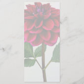 サンシャインの赤結婚いダリア メニュー (裏面)