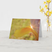 サンシャインアイリス聖なる書物、 経典カード詩篇84:11 カード (黄色い花)