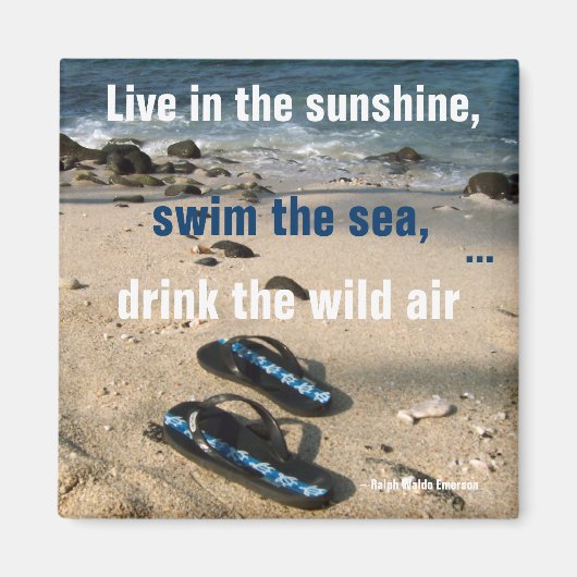 サンシャインアンドシーライフタイムゴール マグネット (正面)