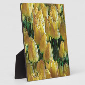 サンシャインイエローのチューリップ フォトプラーク (側面)
