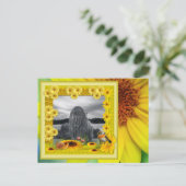 サンシャインイエローサンフラワーフォトフレーム ポストカード (スタンド正面)