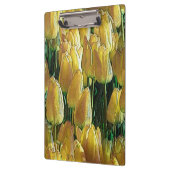 サンシャインイエローチューリップ クリップボード (左)