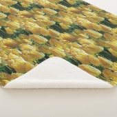 サンシャインイエローチューリップ シェルパブランケット (3/4)