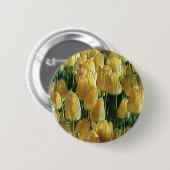 サンシャインイエローチューリップ 缶バッジ (正面&裏面)