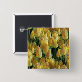 サンシャインイエローチューリップ 缶バッジ (正面&裏面)