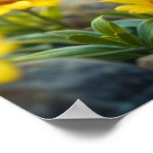 サンシャインイエローフワフワフワのチキンブルー – アイドバード ポスター (角)