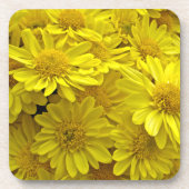 サンシャインイエロー コースター (正面)