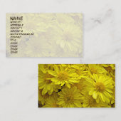 サンシャインイエロー 名刺 (正面/裏面)