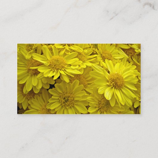 サンシャインイエロー 名刺 (裏面)