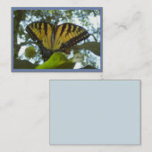サンシャインイエロー（昆虫）オオカバマダラ、モナーク 名刺 (正面/裏面)