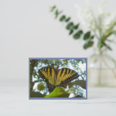サンシャインイエロー（昆虫）オオカバマダラ、モナーク 名刺 (スタンド正面)