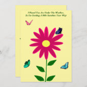 サンシャインカードの送信 シーズンカード (正面/裏面)