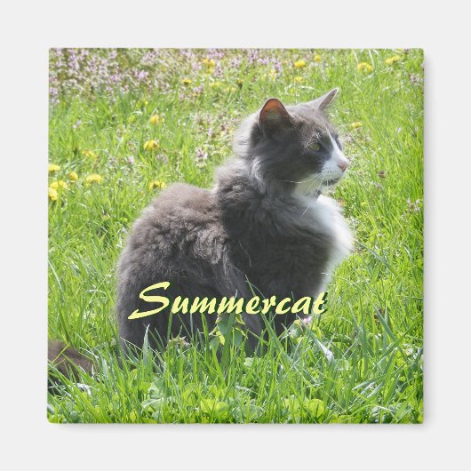 サンシャインキャットマグネット マグネット (正面)