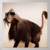 サンシャインサル ポスター (正面)