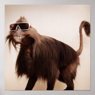 サンシャインサル ポスター