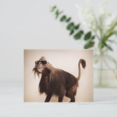 サンシャインサル ポストカード (スタンド正面)