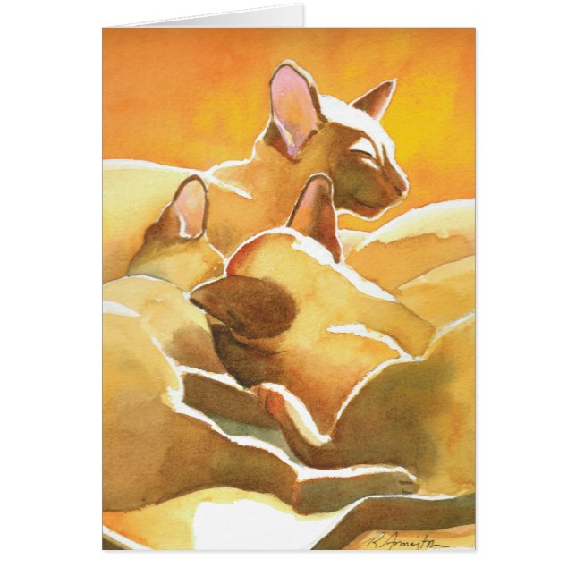 サンシャインシャメネコ (正面)