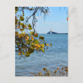 サンシャインスカイウェイブリッジサンクトペテルブルグフォト ポストカード (正面)