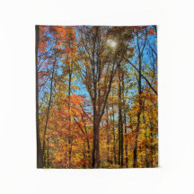 サンシャインスルー秋秋フォレスト