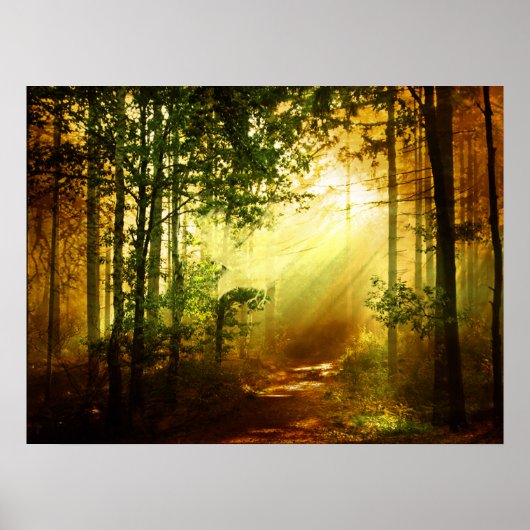 サンシャインバード ポスター (正面)