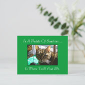 サンシャインポストカードの水たまり ポストカード (スタンド正面)