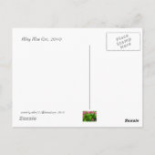 サンシャインポストカードの水たまり ポストカード (裏面)