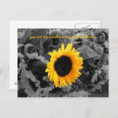 サンシャインポストカード ポストカード (正面/裏面)