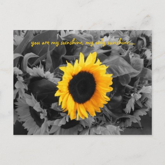 サンシャインポストカード ポストカード (正面)