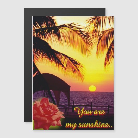 サンシャインラブ (正面/裏面)